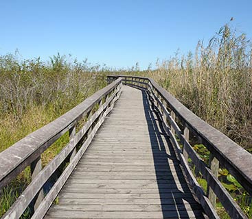 Lake Seminole FL Observation Trail